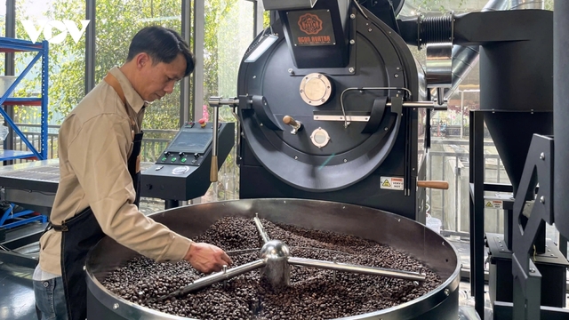 Giá cà phê hôm nay: Cà phê trong nước tiếp tục tăng