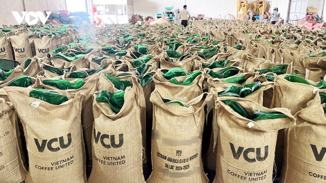 Giá cà phê hôm nay 26/5: Cà phê trong nước giữ mốc 122.500 đồng/kg