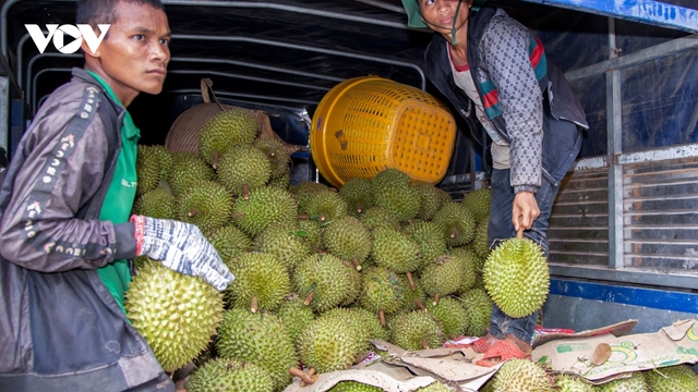 Đồng bào dân tộc thiểu số Khánh Hòa tự tin vươn lên nhờ chính sách đúng