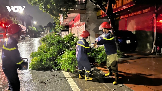 Khẩn trương dọn dẹp cây xanh gãy đổ ở Quảng Ninh