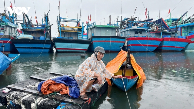 Gần 600 phương tiện neo đậu tránh bão số 10 tại Âu thuyền và cảng cá Thọ Quang