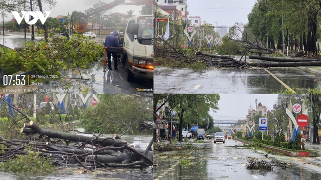 Ngổn ngang cây xanh bật gốc, nhà tốc mái, cột điện gãy sau bão số 10 tại Nghệ An, Hà Tĩnh