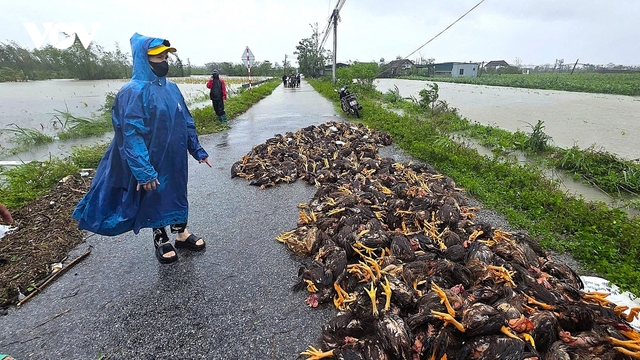 Nghệ An tứ bề ngập lụt sau bão số 10