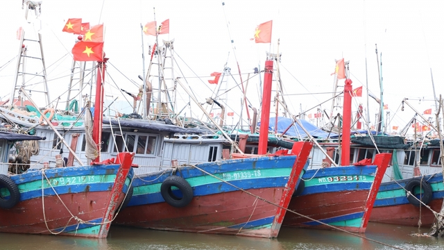 Ninh Bình gấp rút di dời dân ra khỏi vùng nguy hiểm