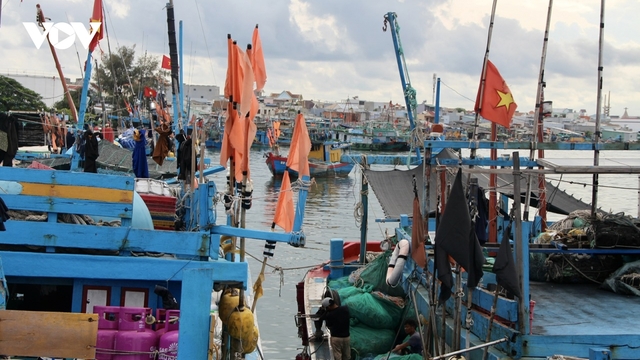 Hơn 1.300 phương tiện bắt xa bờ của TPHCM vào bờ, trú tránh an toàn