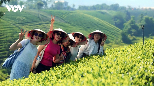 Đầu tư khoa học kỹ thuật, câu chuyện chè Thái Nguyên được kể theo cách riêng