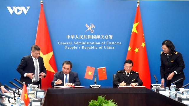 Xuất khẩu mít tươi chính ngạch vào Trung Quốc: Cơ hội nâng tầm nông sản Việt