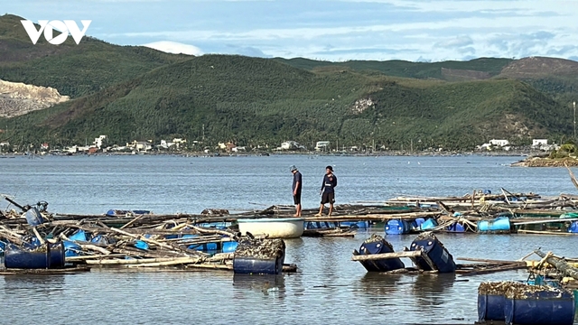 Khoanh nợ, giảm lãi suất cho bà con nuôi thuỷ sản bị ảnh hưởng bão số 13