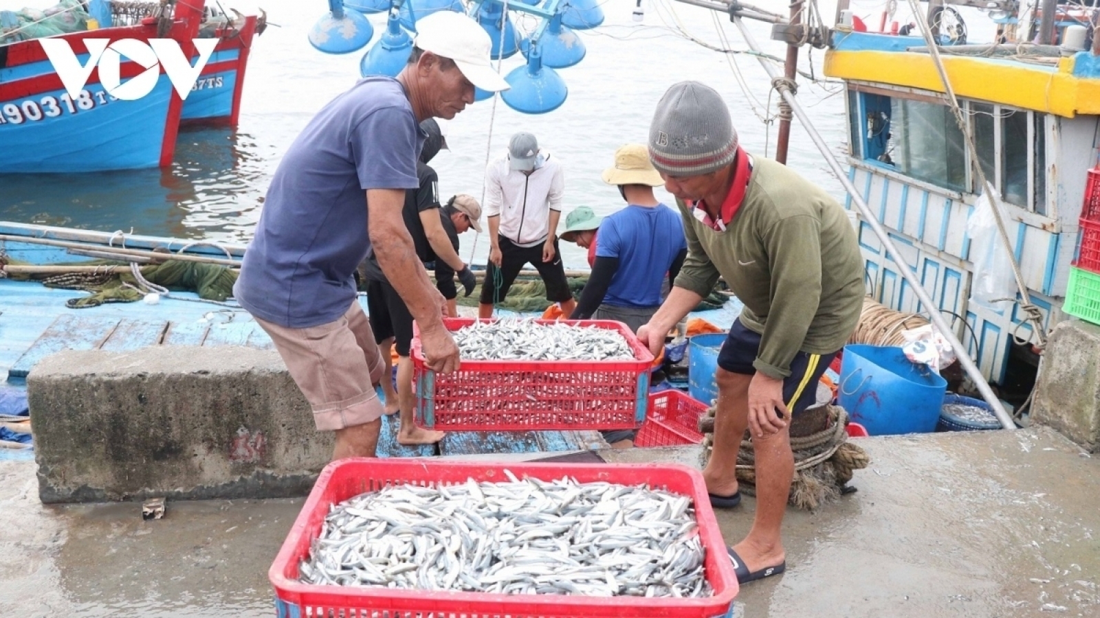 Kinh tế biển Việt Nam hướng tới chuẩn xanh, phát triển bền vững