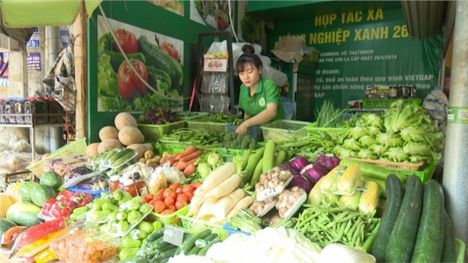 Nông dân tiêu thụ nông sản ổn định nhờ liên kết sản xuất