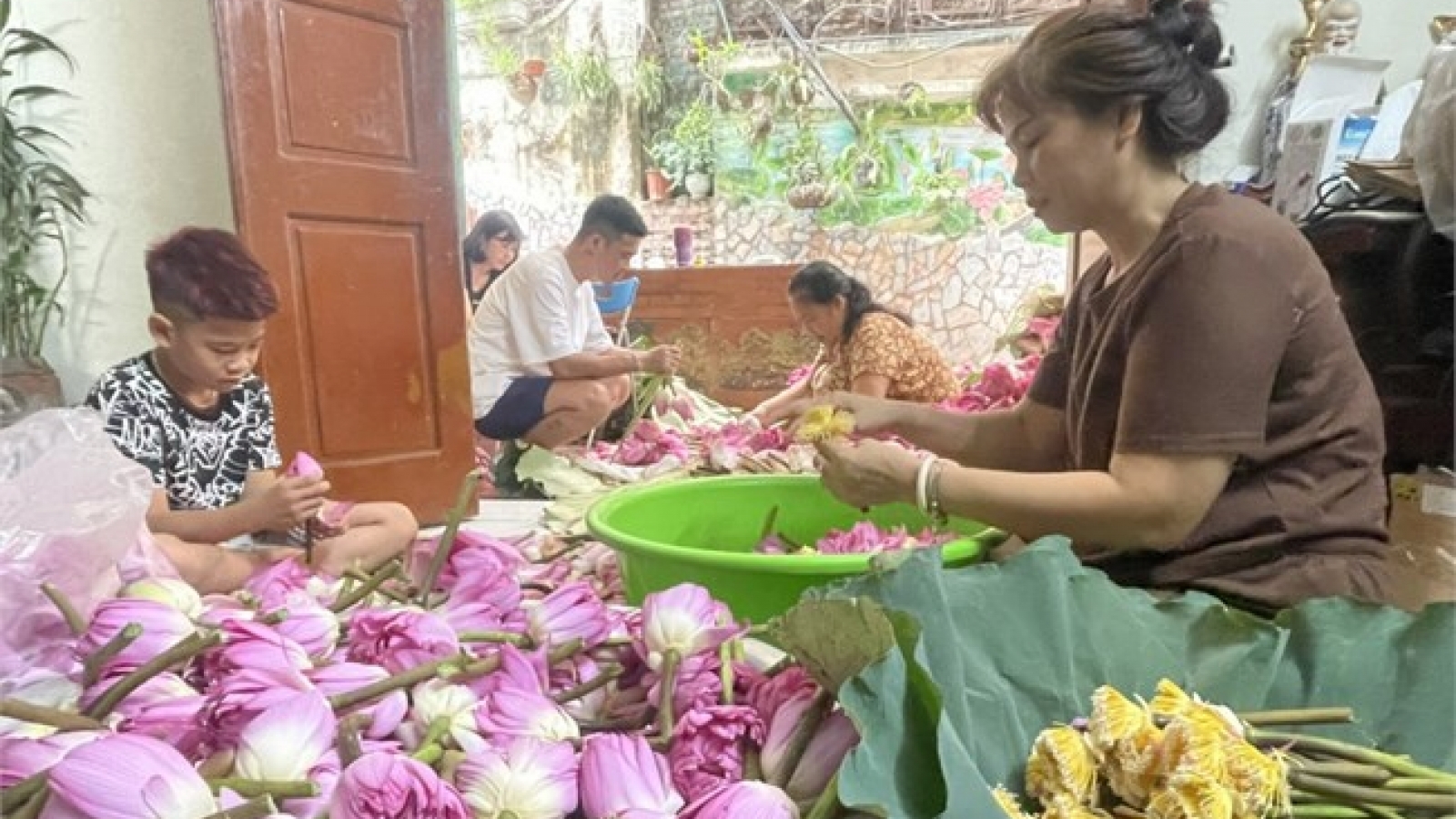 Khám phá nghệ thuật ướp trà sen Tây Hồ - tinh hoa văn hóa người Hà Nội