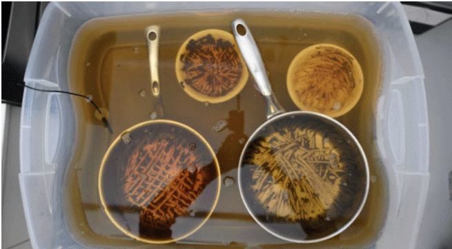 Nên ngâm bát đĩa hay rửa luôn? (Ảnh: Betsey Goldwasser)