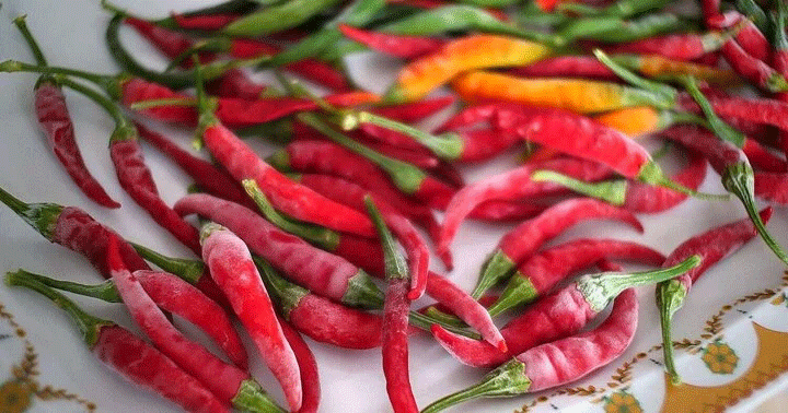 Cất trong ngăn đá tủ lạnh là cách tuyệt vời để bảo quản ớt và giữ chúng tươi lâu hơn. (Ảnh: Storables)