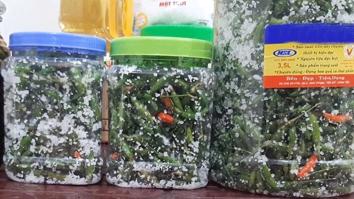 Ướp muối là cách bảo quản ớt vài tháng vẫn tươi ngon. (Ảnh: NGONAZ)