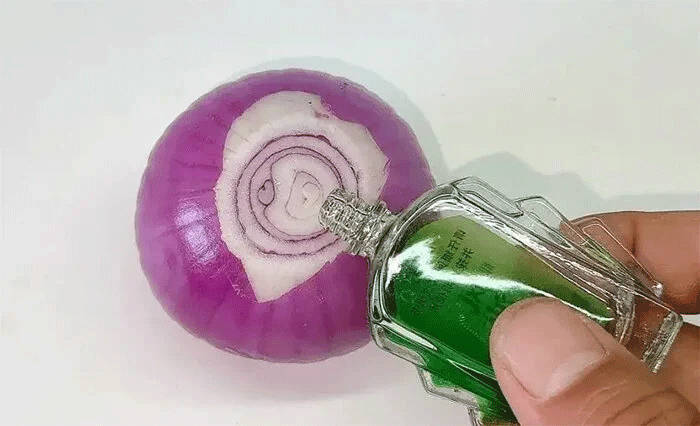 Nhỏ một giọt dầu gió vào hành tây, muỗi và côn trùng sẽ tránh xa nhà bạn (Ảnh: Sohu)