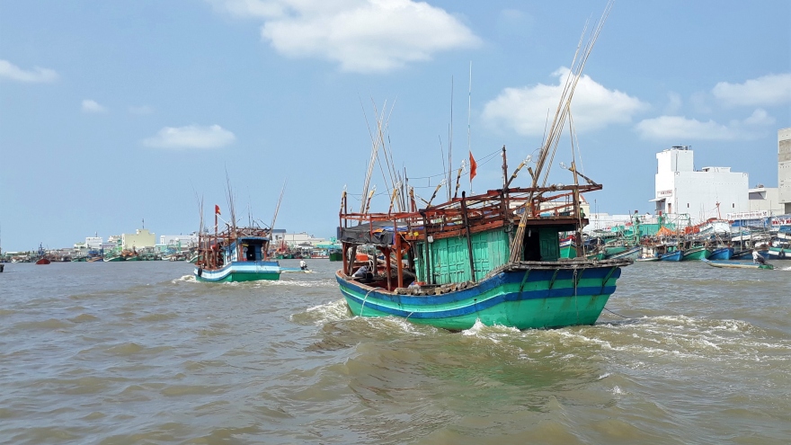 Chủ tàu cá đánh bắt sai quy định bị đề nghị phạt 1,3 tỷ đồng