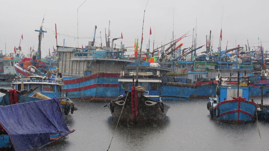 Miền Trung sẵn sàng đối phó áp thấp nhiệt đới và đợt mưa lũ mới