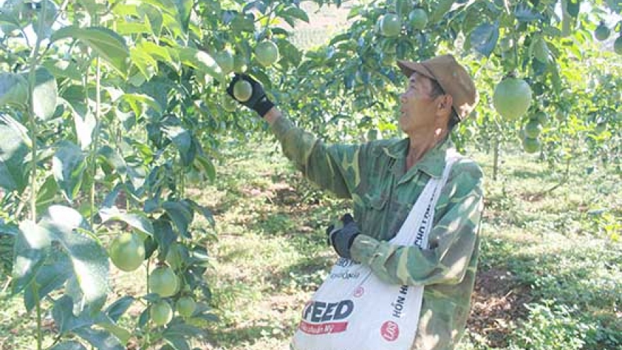 Cần thay đổi suy nghĩ HTX là yếu thế, nghèo về nhiều thứ