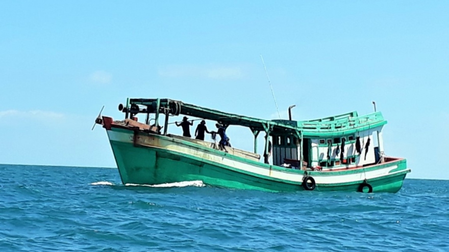 Gỡ “thẻ vàng” của EC: Hành động và thực tiễn ở Cà Mau