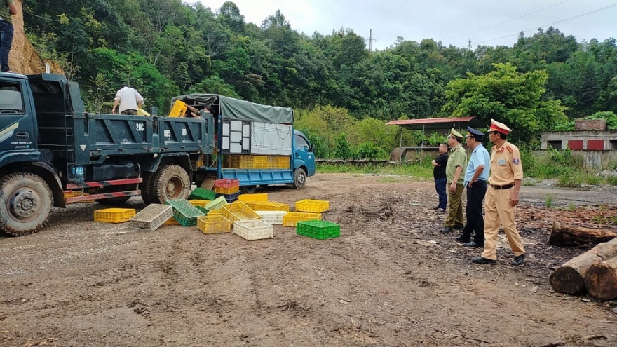 Cao Bằng: Siết chặt quản lý tuyến biên giới dịp cuối năm