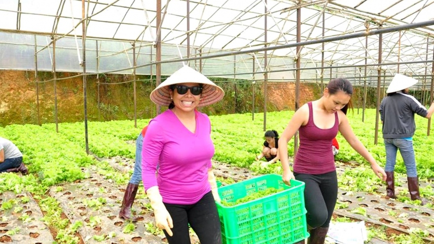 Vì sao Đà Lạt – Lâm Đồng tạm dừng phát triển du lịch canh nông?