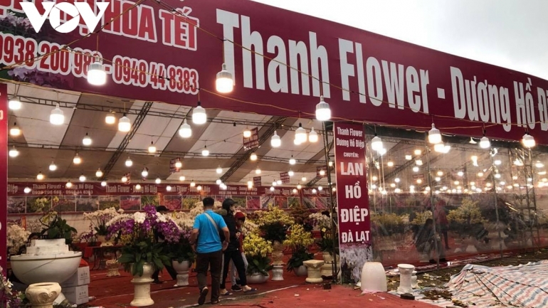 Hanoi poised to host 89 flower markets in build up to Tet