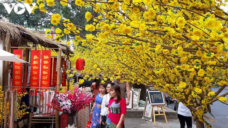 HCM City to host annual flower festival and markets during Tet