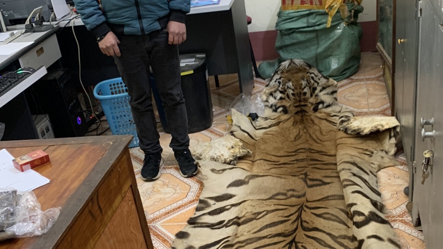 Cao Bằng phát hiện vận chuyển trái phép sản phẩm động vật hoang dã