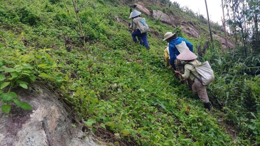 HTX cộng đồng phụ nữ Đăk Viên – Kon Tum: Điểm tựa thoát nghèo của phụ nữ Xê Đăng