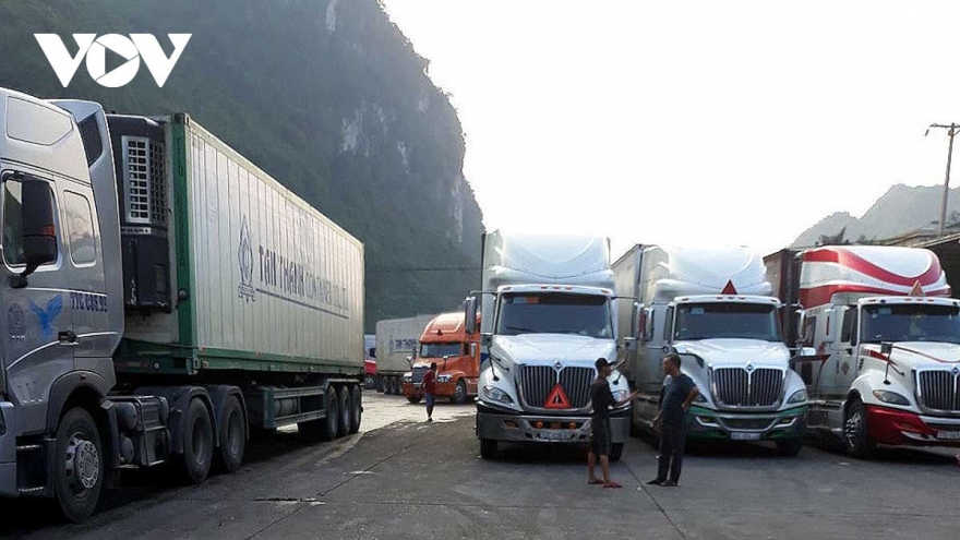 Việt Nam xuất siêu 10,18 tỷ USD trong 7 tháng năm 2025