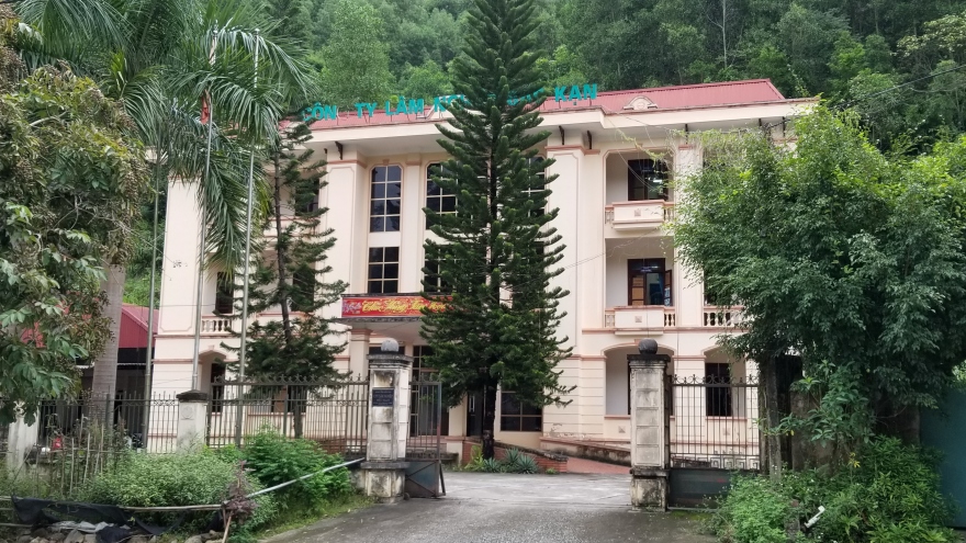 Hơn 4.000 ha rừng tự nhiên ở Bắc Kạn đã đi đâu?