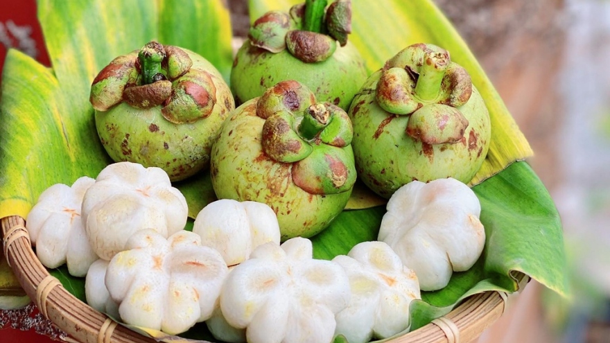 Đặc sản măng cụt xanh “sốt giá” ở Hà Nội