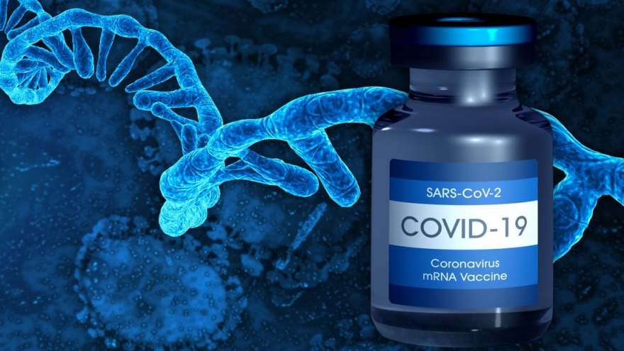 Trung Quốc hợp tác với BioNTech sản xuất vaccine mRNA Covid-19