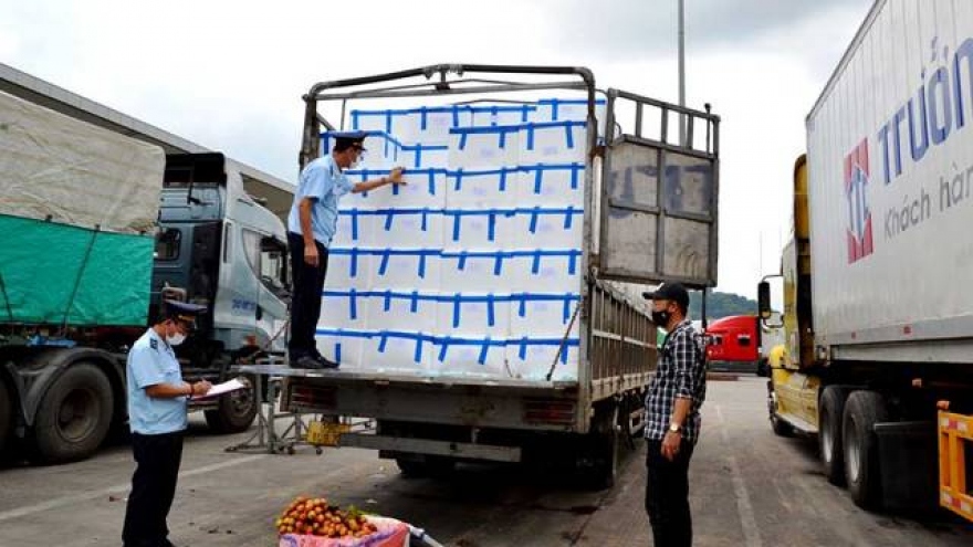 Bắc Giang sẵn sàng các giải pháp để tiêu thụ vải chính vụ đạt giá trị cao