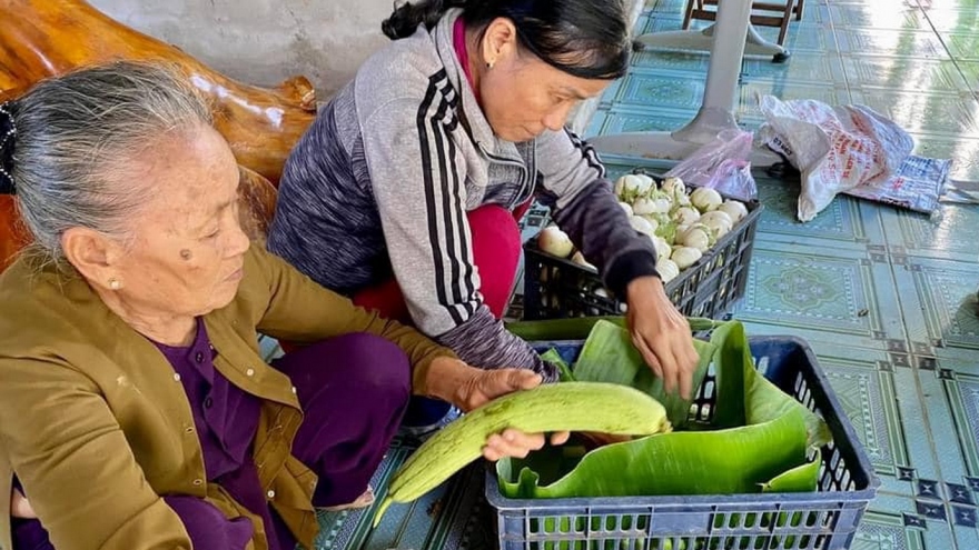 Góp rau củ, cá tươi ngon gửi vào TP.HCM: Tình đồng bào chạm đến trái tim