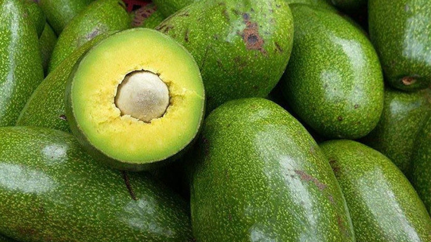 Trái cây nào sẽ được xuất khẩu nhiều nhất vào năm 2030?