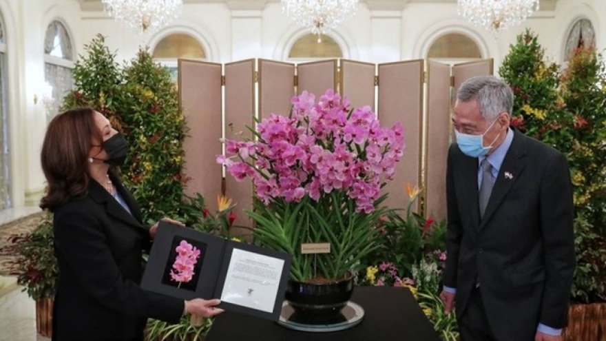 Singapore và Mỹ hợp tác an ninh mạng, hỗ trợ sơ tán người tị nạn khỏi Afghanistan