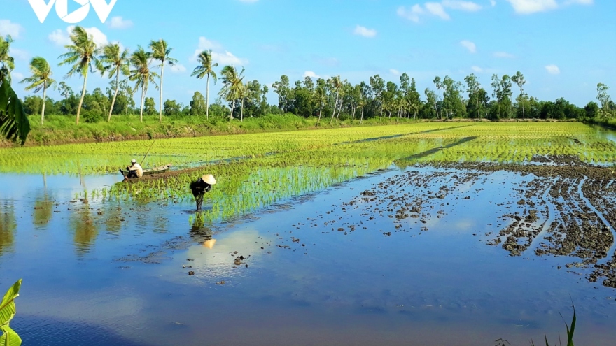 Sử dụng thuốc bảo vệ thực vật "quá đà" gây ô nhiễm đất, nước, mất an toàn thực phẩm
