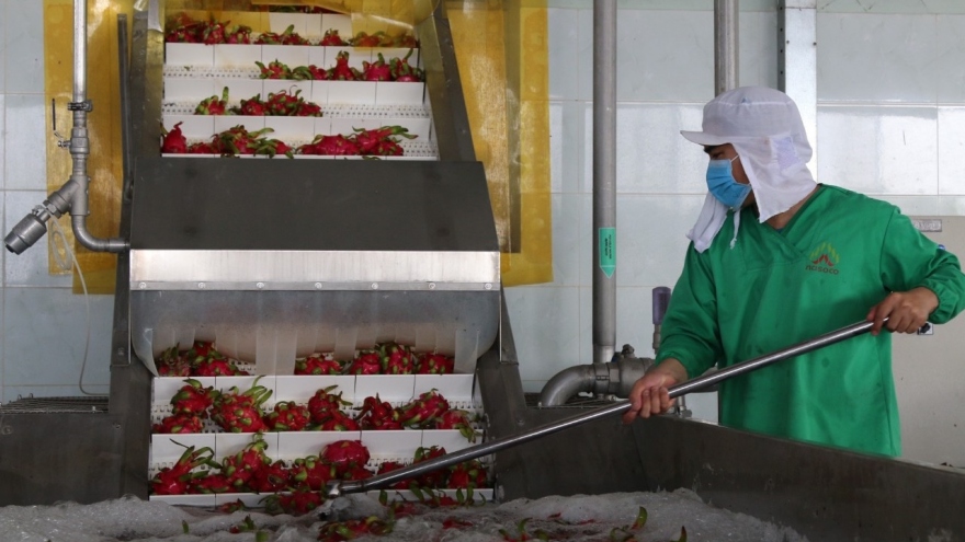 Doanh nghiệp "3 tại chỗ" ở Long An kiến nghị cho F0 khỏi bệnh đi làm trở lại