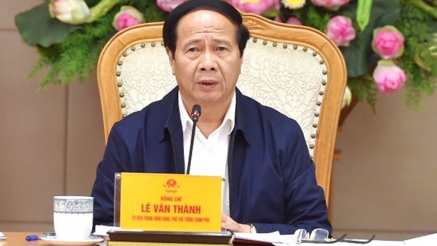 Phó Thủ tướng chỉ đạo nhiều giải pháp "cứu" người chăn nuôi lợn