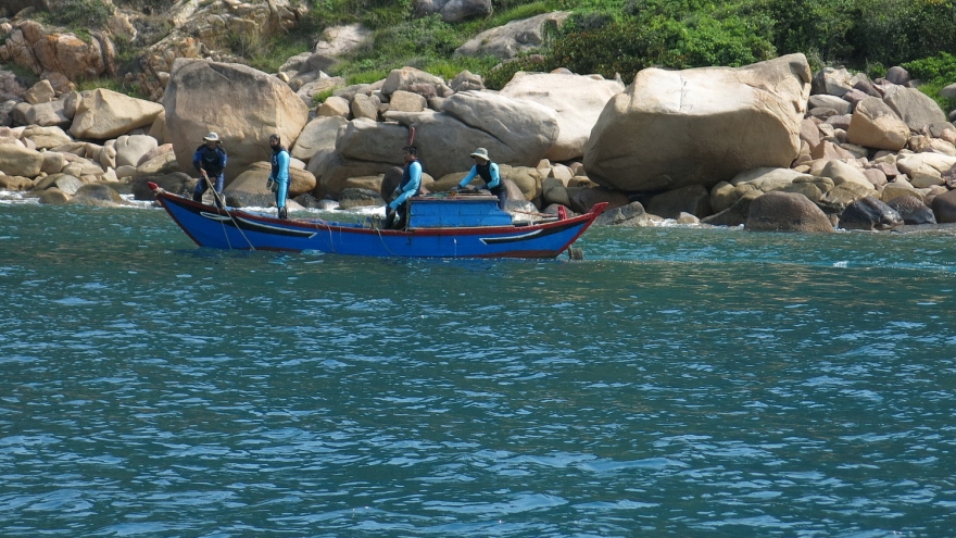 Bình Định thí điểm đón khách du lịch đến bán đảo Phương Mai