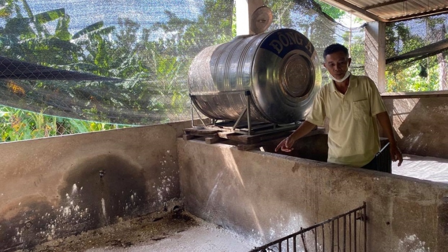 Người chăn nuôi ở Cư M’gar (Đắk Lắk) gặp khó vì dịch chồng dịch