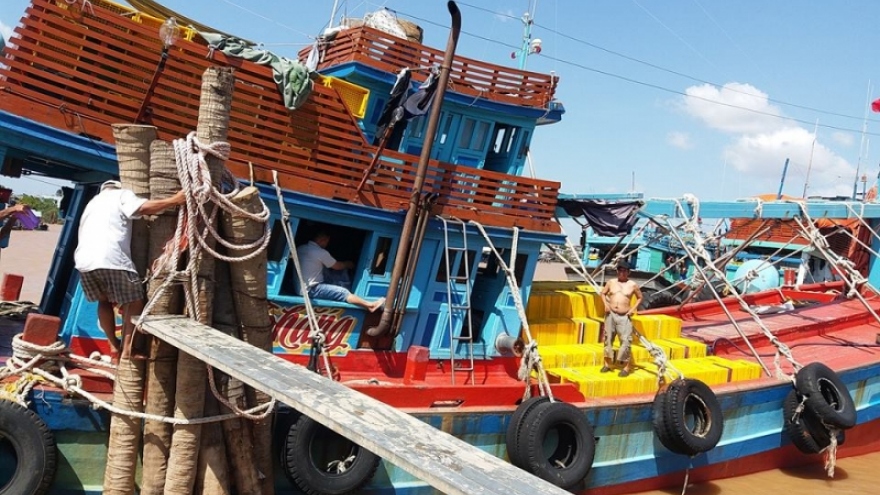 Tiền Giang, Bến Tre xử lý nghiêm tàu cá vi phạm, nỗ lực gỡ “thẻ vàng” IUU