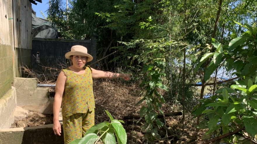 Sạt lở bờ sông Bồ, người dân thấp thỏm lo âu