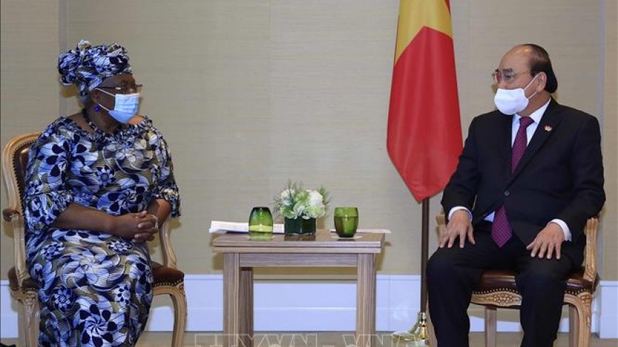 Chủ tịch nước tiếp Tổng Giám đốc Tổ chức Thương mại thế giới (WTO)