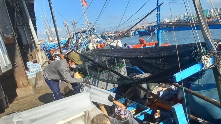 Niềm vui được mùa, được giá các chuyến biển từ Trường Sa trở về