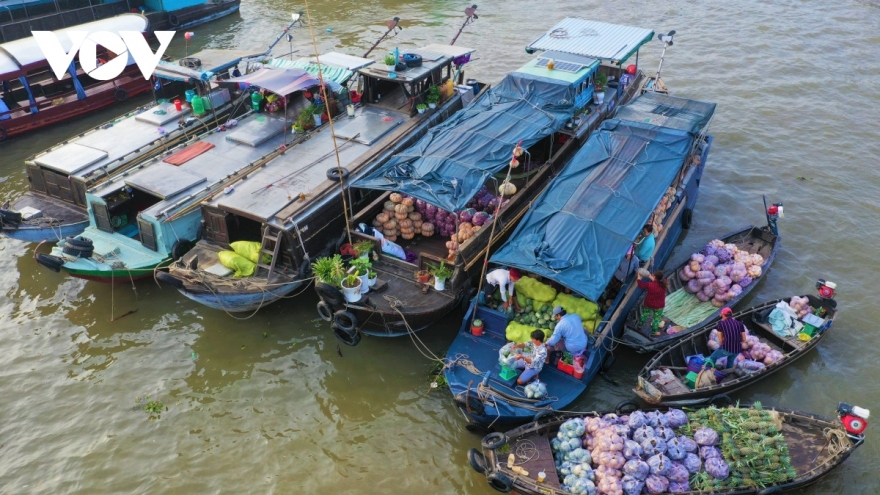 Cần Thơ chuyển đổi số để phục hồi và phát triển du lịch 