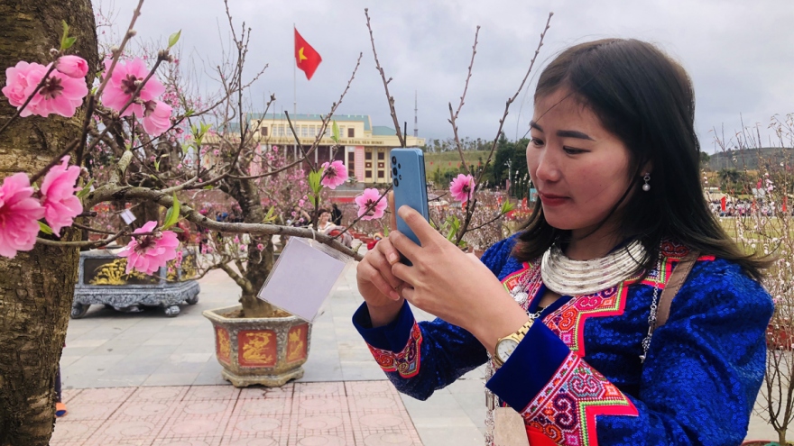 Lung linh đào xuân trong sắc thổ cẩm