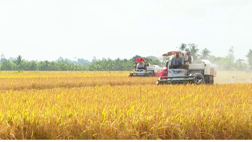 ĐBSCL cần đẩy mạnh giải pháp kỹ thuật tiết kiệm phân bón ở vụ hè thu