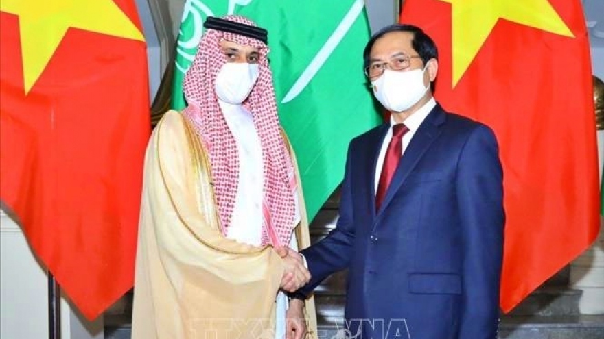 Bộ trưởng Ngoại giao Bùi Thanh Sơn hội đàm với Bộ trưởng Ngoại giao Saudi Arabia